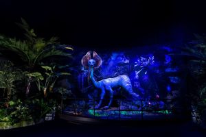 Avatar: The Experience 8