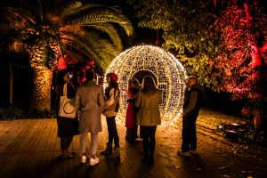 Els Llums de Sant Pau 2