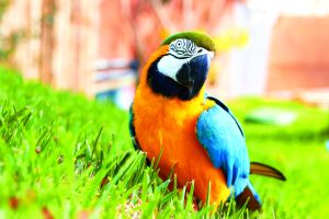 Mundomar Benidorm 12