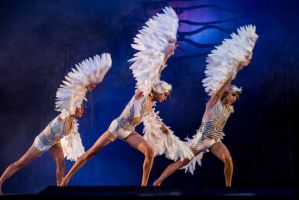 El cascanueces – Kiev Modern Ballet 2