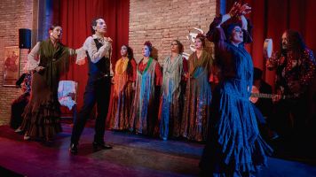 Flamenco show: Zambra, la raíz 1