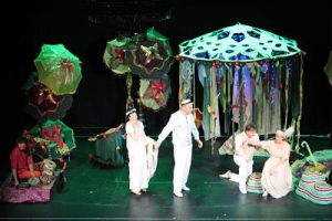 A Midsummer Night's Dream- Face 2 Face Theatre Company 3