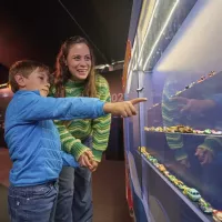 Hot Wheels City Experience 4