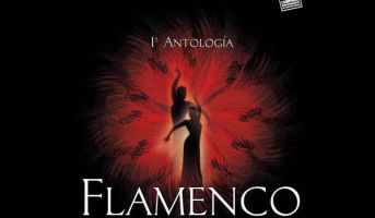 Flamenco Feeling - BFM 2