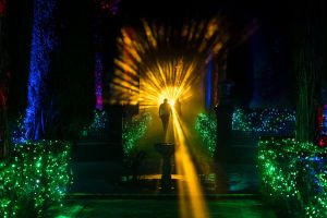 Naturaleza Encendida - Real Alcázar de Sevilla 3