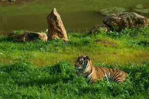 Parque de Cabárceno 3