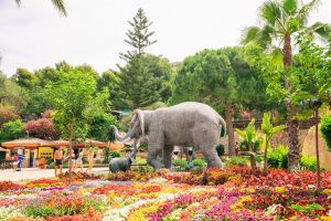 Aqualandia Benidorm 16