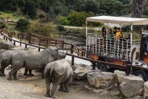 Selwo Aventura Estepona 17