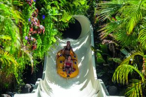 Siam Park 21