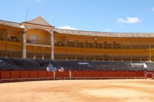 Plaza de Toros de Aranjuez 3