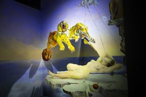 Dalí Challenge Barcelona 11