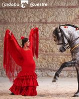 Córdoba Ecuestre: Pasión y Duende del Caballo Andaluz 1
