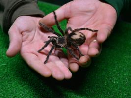 Terra Natura  - Benidorm 9