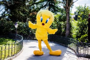 Parque Warner Madrid 11