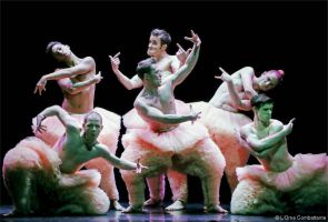 Tutu - Chicos Mambo 8