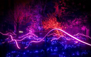 Naturaleza Encendida en Madrid 15