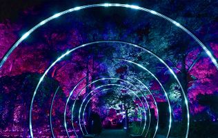 Naturaleza Encendida en Madrid 13