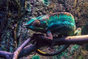 Acuario de Zaragoza 21