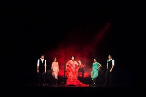 Flamenco Feeling - BFM 1