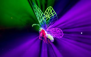 Natura Encesa Barcelona 5