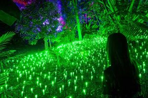 Naturaleza Encendida Aquatic Valencia 6