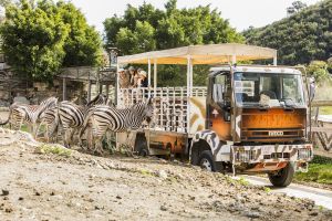 Selwo Aventura Estepona 23