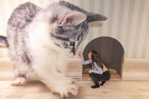 Museo Magic World - Barcelona 7