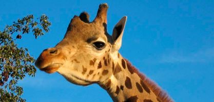 Oasys Parque Temático - Mini Hollywood 11