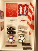 Atlético de Madrid: Tour por el Estadio y Museo 15