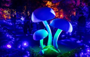 Naturaleza Encendida en Madrid 14