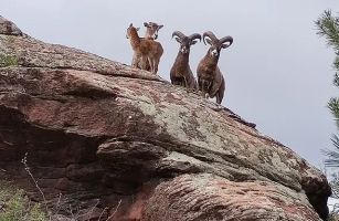 La Maleza Parque de Fauna 5