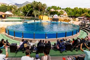 Selwo Marina Benalmádena 19