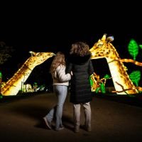 Brilla Zoo Festival 3