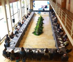 Infecar, Palacio de Congresos de Gran Canaria 2