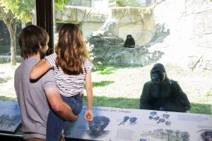 Zoo Aquarium de Madrid 4