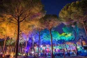 Transition Festival 2025 5