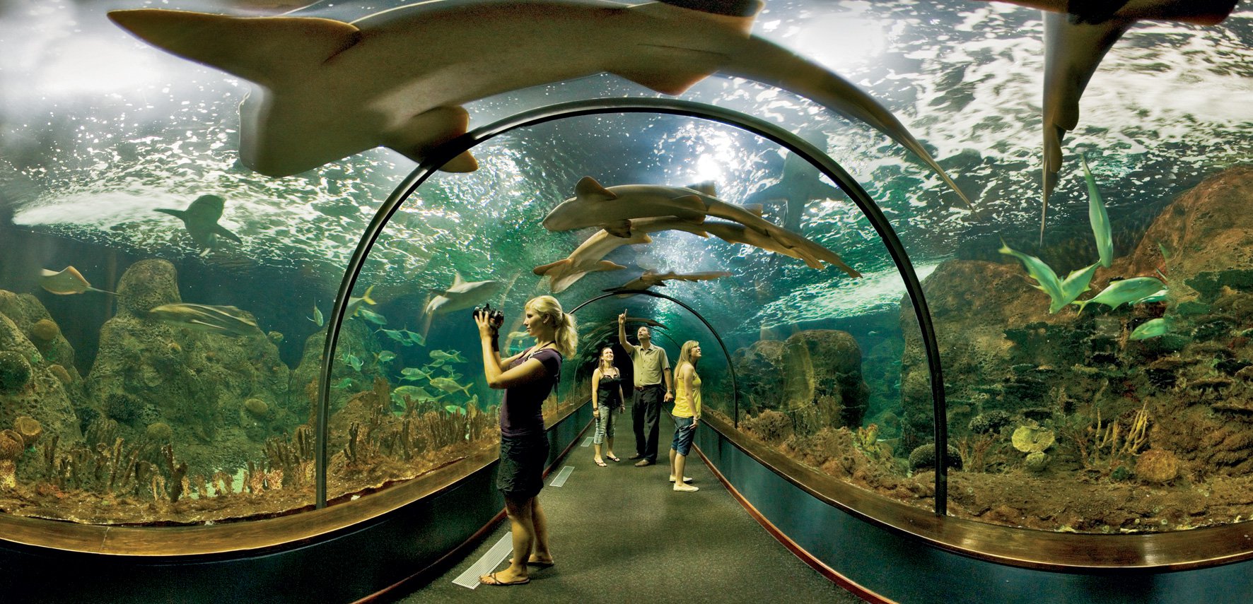 Entradas Loro Parque