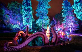 Naturaleza Encendida Bilbao 1