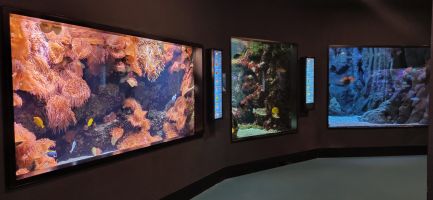 Bioparc Acuario de Gijón 9