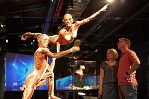 Body Worlds 2