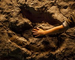 Territorio Dinópolis 3