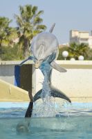 Aquópolis de Costa Daurada 16