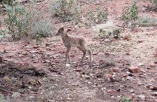 La Maleza Parque de Fauna 6