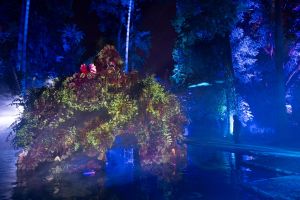 Naturaleza Encendida - Real Alcázar de Sevilla 2