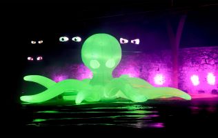 Naturaleza Encendida en Madrid 16