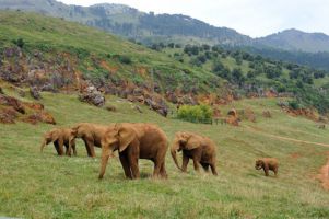 Parque de Cabárceno 2