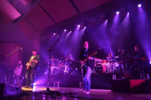 Brothers in Band Tribute Dire Straits 3