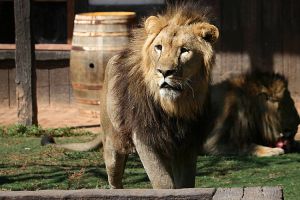 Terra Natura - Murcia 3