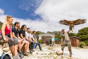 Teleferico de Benalmadena 8