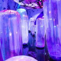 Bubble Planet: Una Experiencia Inmersiva 2